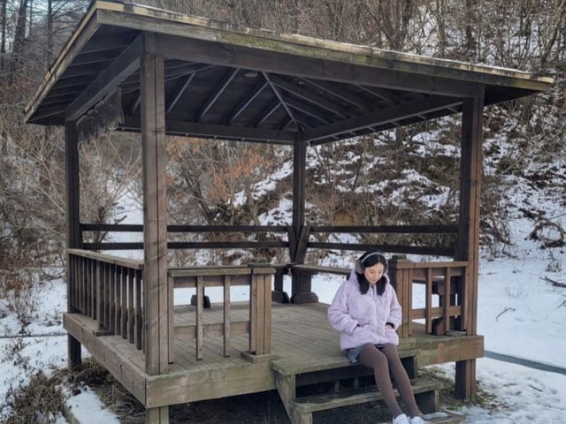공기 맑은 평창, 별 보는 글램핑 🏕
