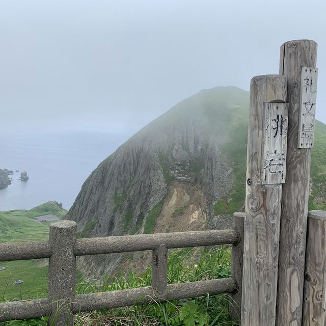 北海道　花の島　礼文島