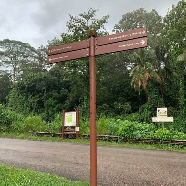 Bukit Timah Railway 