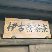 【伊豆長岡】伊古奈荘