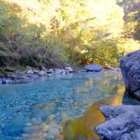 紅葉の阿寺渓谷
