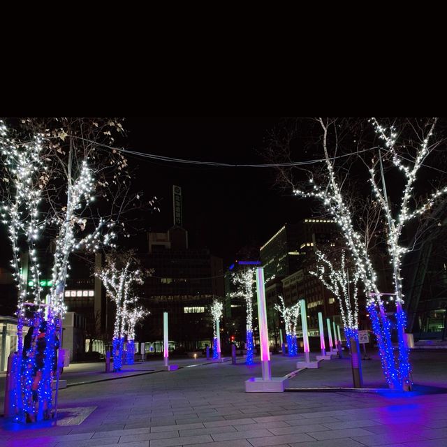 札幌　ホワイトイルミネーション[札幌駅南口会場]