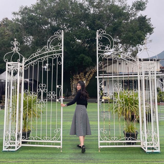 打卡吧📸‼️🖤
