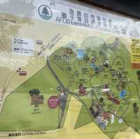 【假子親子遊】與孩子森林漫步 🌳