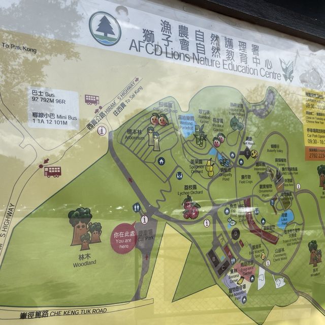 【假子親子遊】與孩子森林漫步 🌳