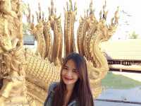 บันทึกเที่ยว @ วัดศรีพันต้น น่าน