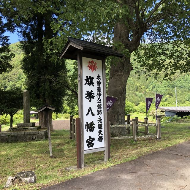 【義仲旗挙神社】巨大な欅が歴史を語る。