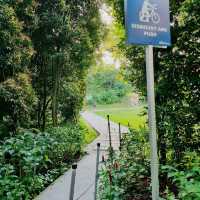 Nature In The Centre Of Singapore