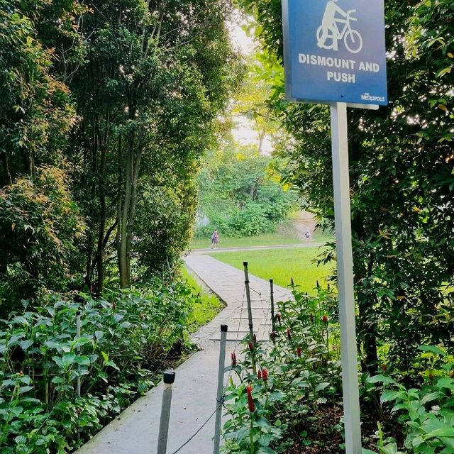 Nature In The Centre Of Singapore
