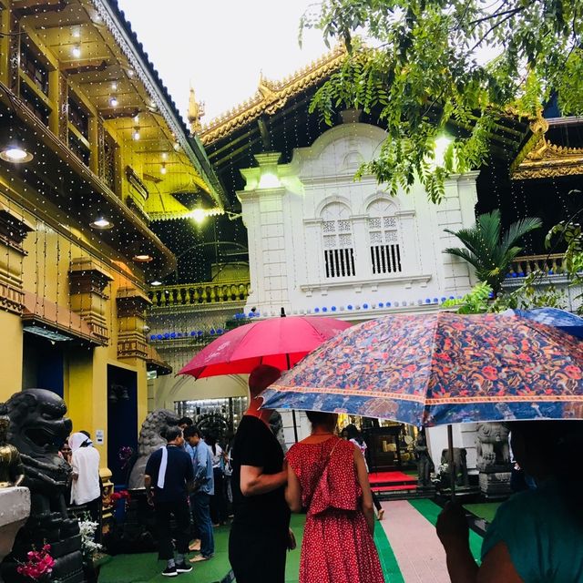 スリランカ🇱🇰