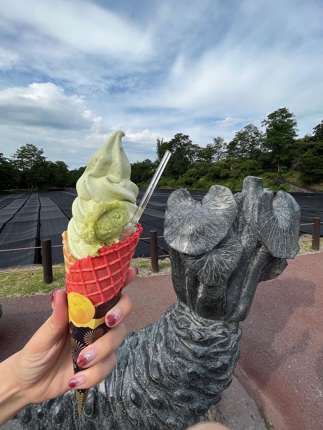 すりたては辛くない⁉︎ 「大王わさび農園」でわさび尽くし