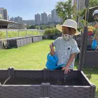 親子活動～「親子農耕樂」🥬🥕🌶