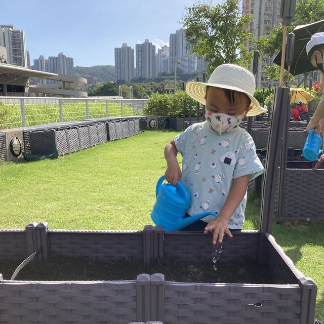 親子活動～「親子農耕樂」🥬🥕🌶