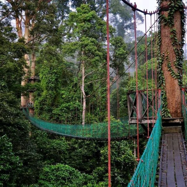  DANUM VALLEY LAHAD DATU SA