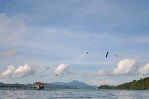EAGLE FEEDING EXPERIENCE IN LANGKAWI