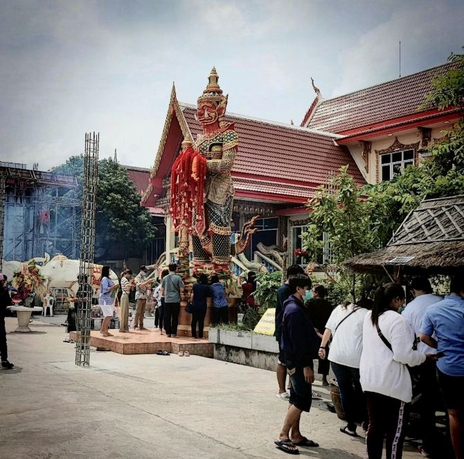 My Image 6