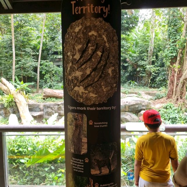 Singapore Zoo Expedition Trip