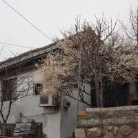 歷久不衰👏🏻韓劇取景點梨花洞😎超多壁畫等你影
