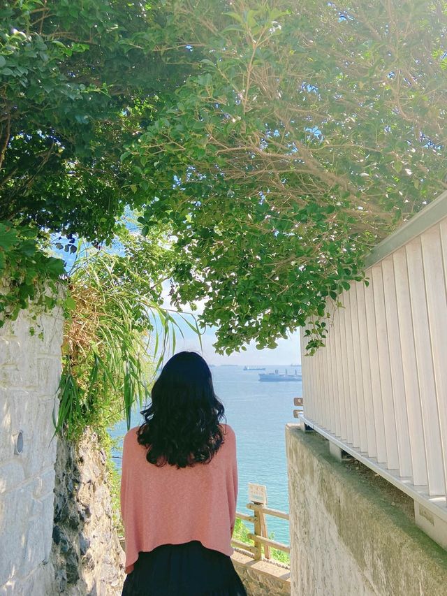 부산을 오롯이 느낄 수 있는 흰여울문화마을🤍🌿