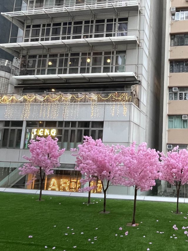 尖沙咀必去正宗西班牙🇪🇸餐廳