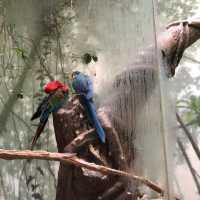เที่ยว Central Park Zoo กัน