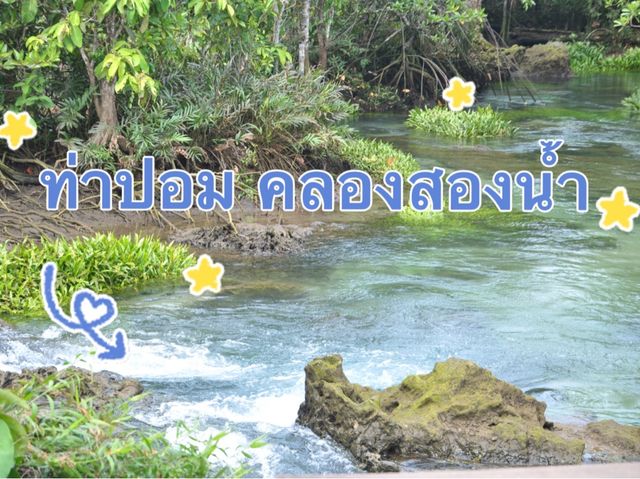 🌿💦ผ่อนกาย สบายใจ คลองน้ำใส ท่าปอม🌿💦