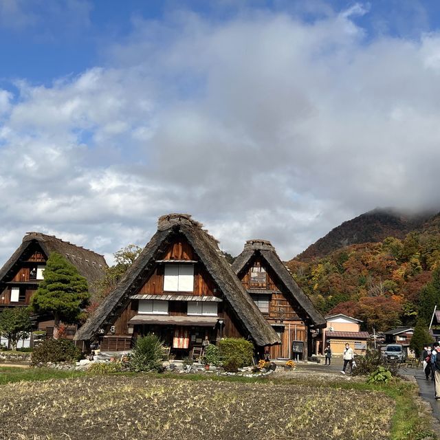 白川八幡神社 及 明善寺🍁🍁