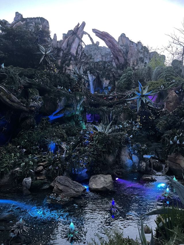 Disney’s Animal Kingdom - Pandora 