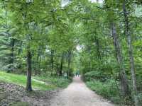Indiana Dunes State Park 