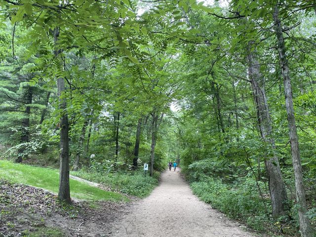 Indiana Dunes State Park 