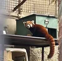 Taronga Zoo Sydney