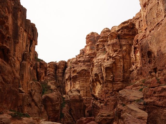 A day in Petra 