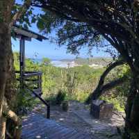 Cottage in the bush