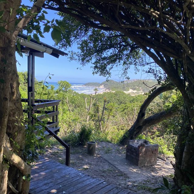 Cottage in the bush