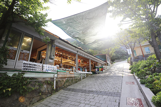 울릉도 교통편 택시 렌트카 버스