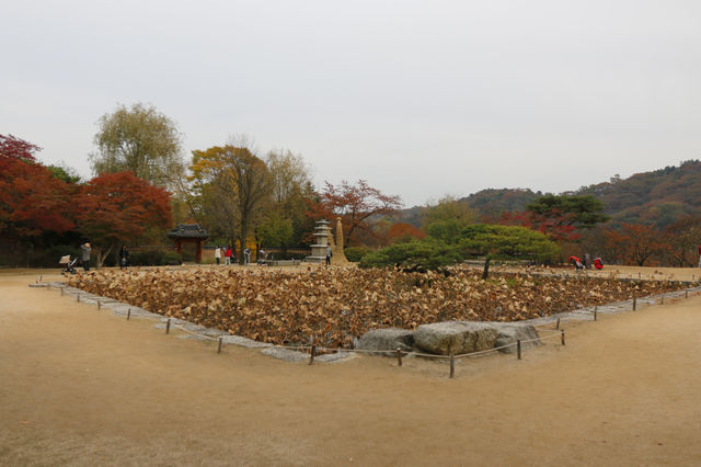 용인 호암미술관 산책하며 계절을 느껴요