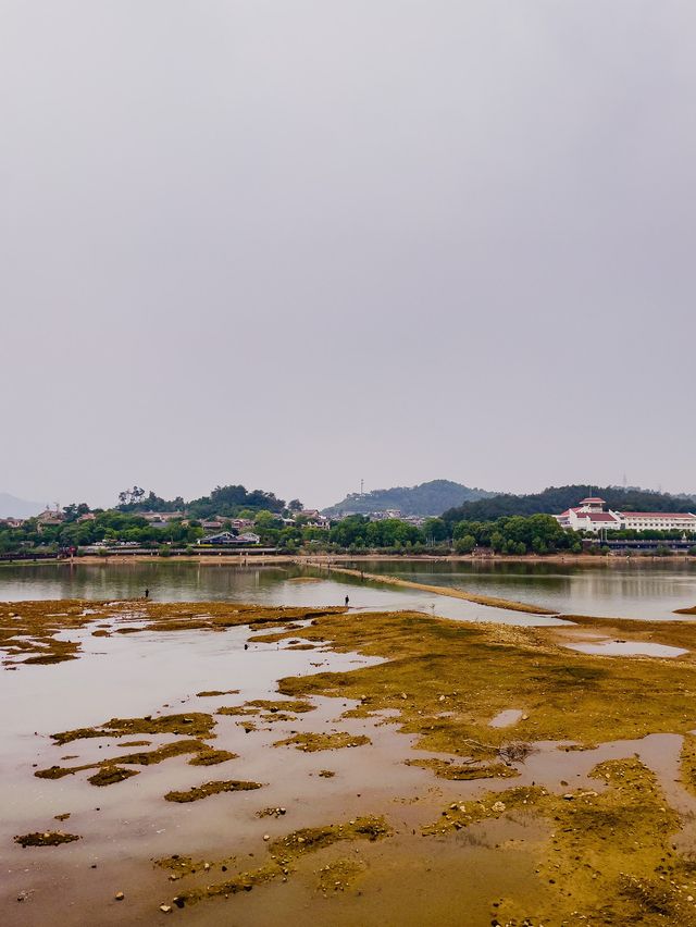 Cycling around Qingshan Lake ⛰🌿🍃