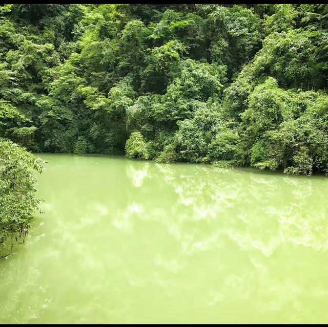 Zhangjiajie Grand Canyon. 