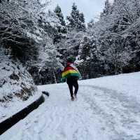 Winter expedition to Lushan: Conquered!!!