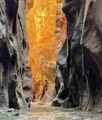 Zion National Park, isn't it a wonderful national park?