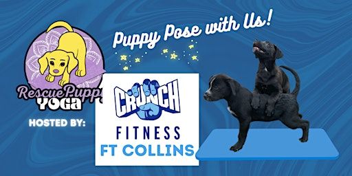 Rescue Puppy Yoga - Crunch Fitness Ft Collins | Crunch Fitness - Fort Collins