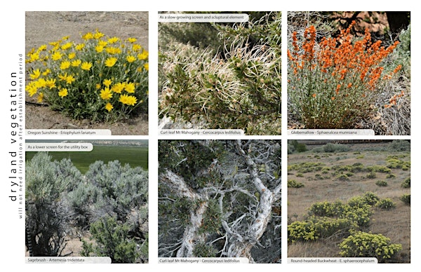 Class: Which Plant Where? | Wintercreek Nursery