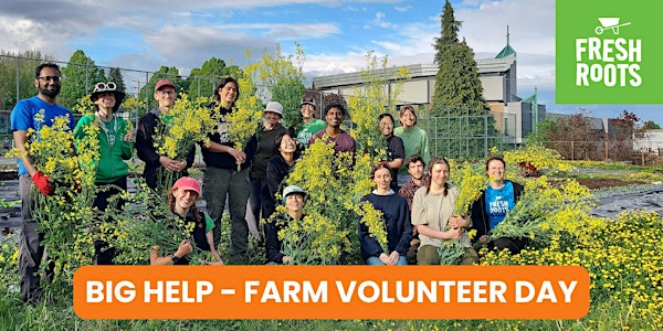 Fresh Roots - Farm volunteer day! | Millside Centre, behind the school