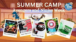 Summer Camp Avengers & Ninjas Week | My Gym of Waldorf