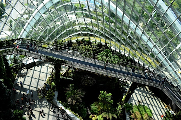 Biodiversity Net Gain: Lessons from the Field | Davy Avenue