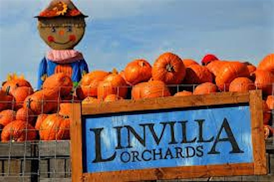 Trip to Linvilla Orchards! | Linvilla Orchards