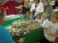 Gemarama 2025 | The Greater Philadelphia Expo Center, Pennsylvania, USA