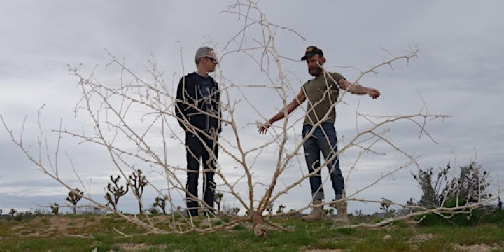 Water is the Sun + Al Fresco Skronk Squadron Live @ Soundart Radio | Soundart Radio 102.5fm