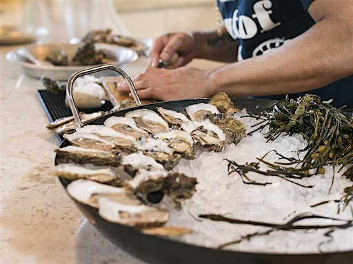 Oyster 101 | Rodney's Oyster House