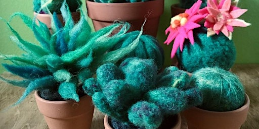Succulents: An All-Ages Needlefelting Class at WOOL MOUNTAIN | ARTlington Studios at 618 Arlington St